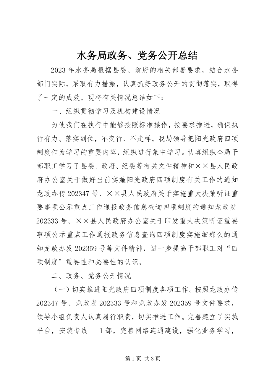 2023年水务局政务党务公开总结.docx_第1页