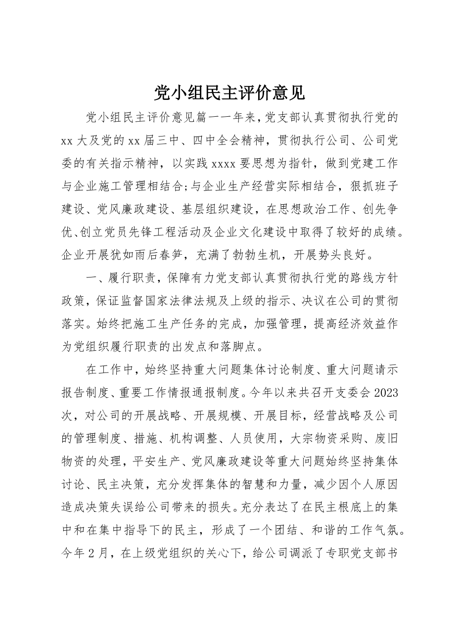 2023年党小组民主评价意见.docx_第1页