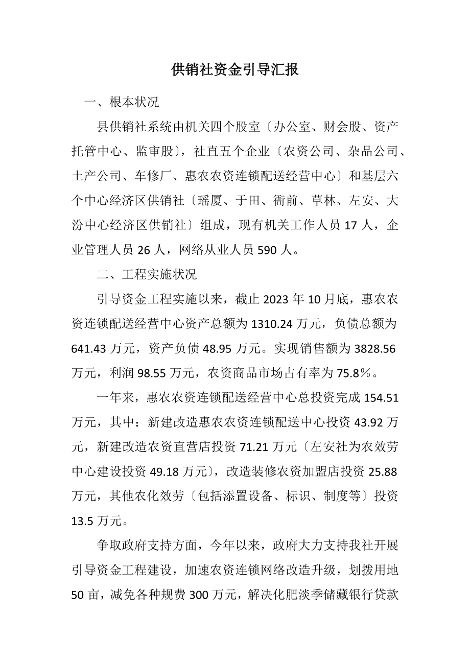 2023年供销社资金引导汇报.docx_第1页