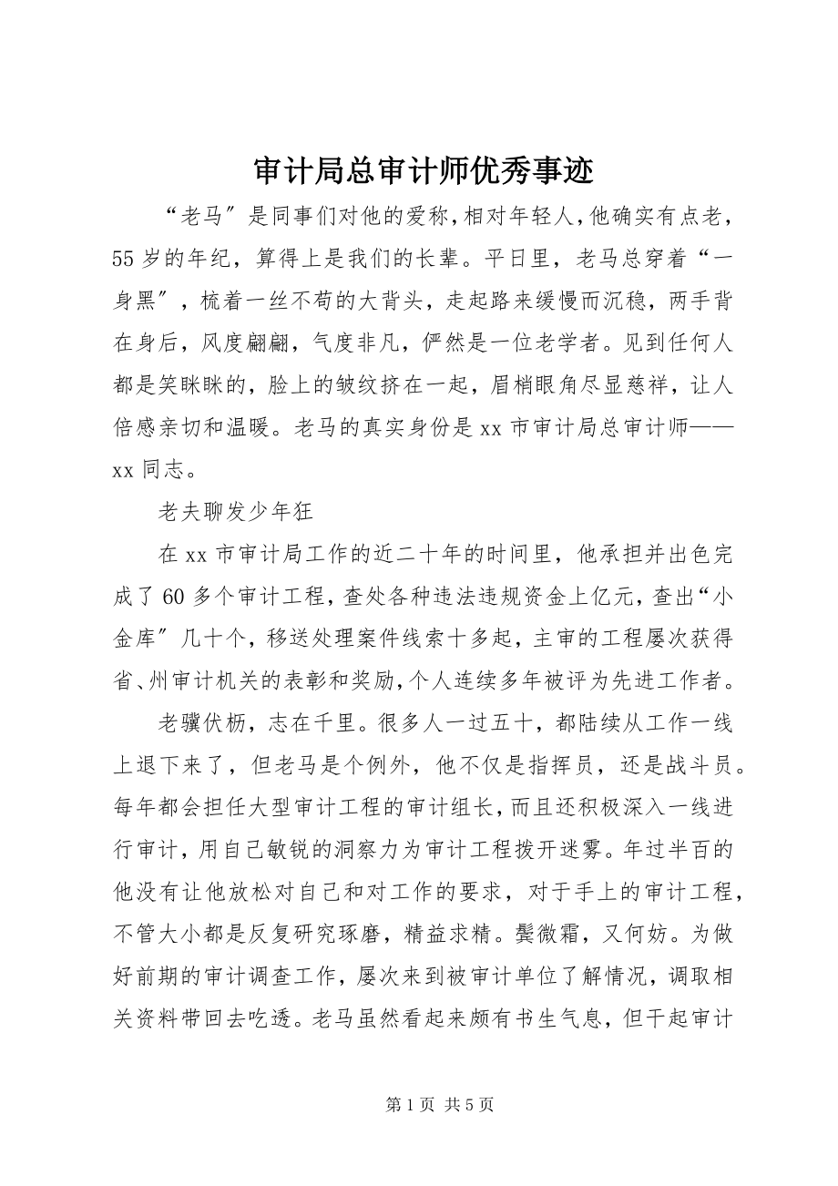 2023年审计局总审计师优秀事迹.docx_第1页