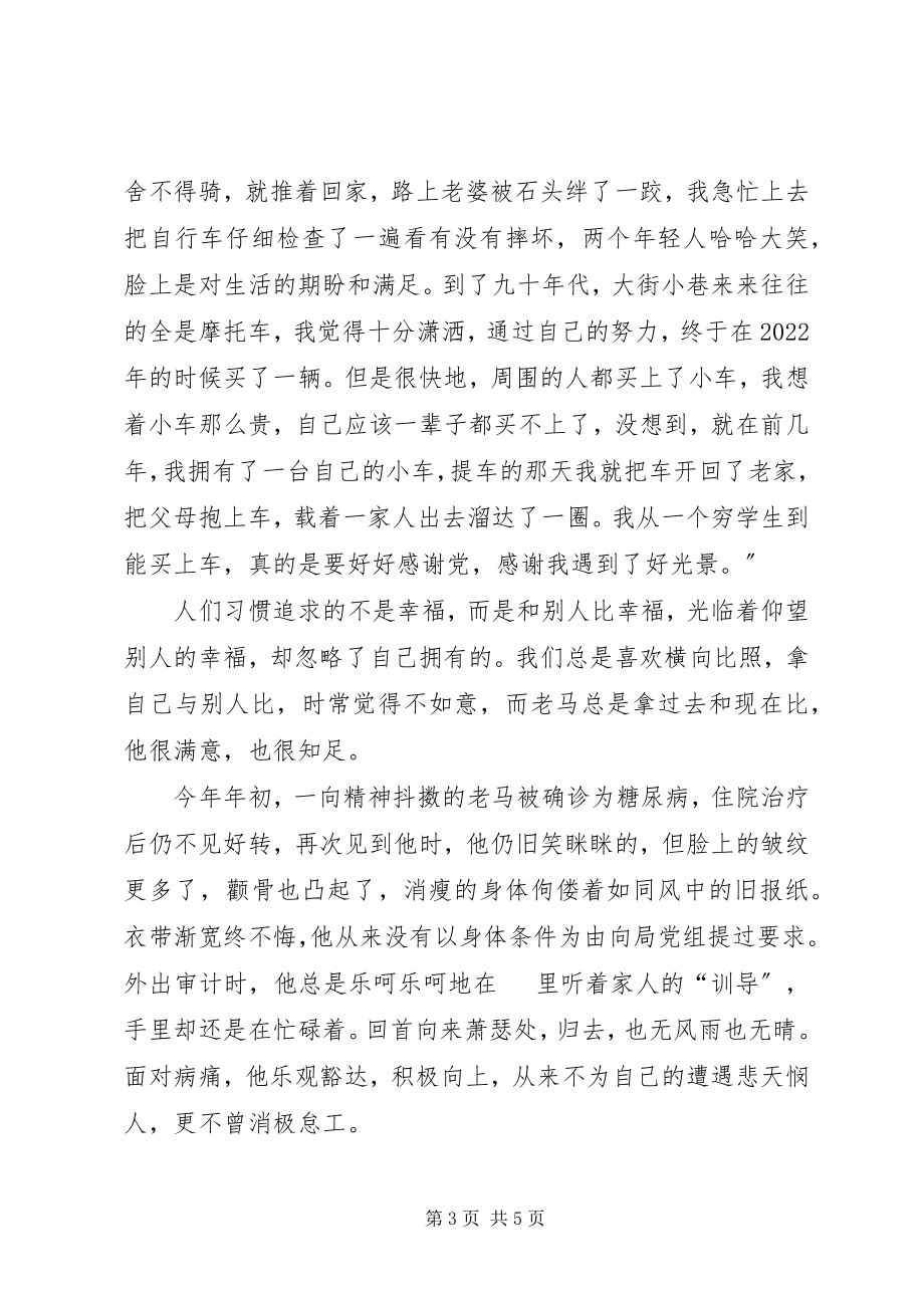 2023年审计局总审计师优秀事迹.docx_第3页