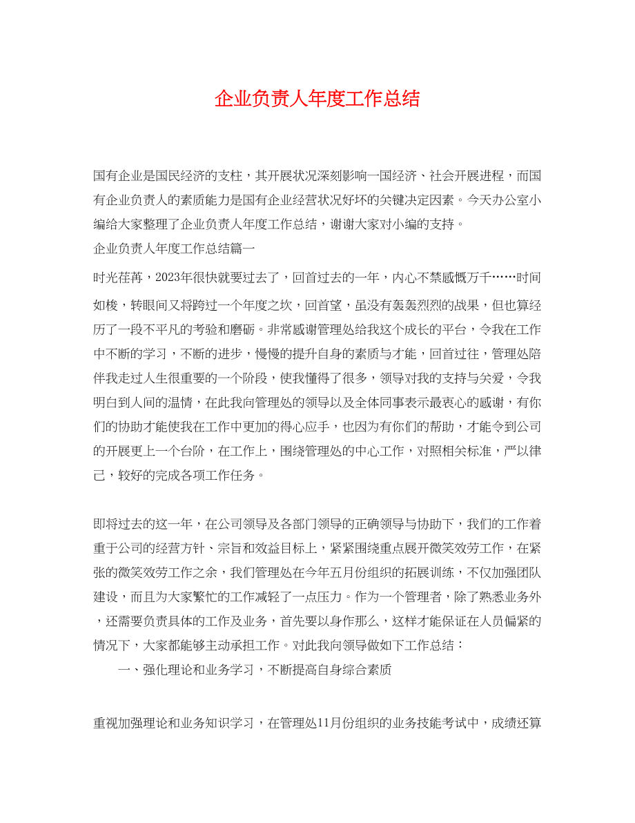 2023年企业负责人度工作总结.docx_第1页