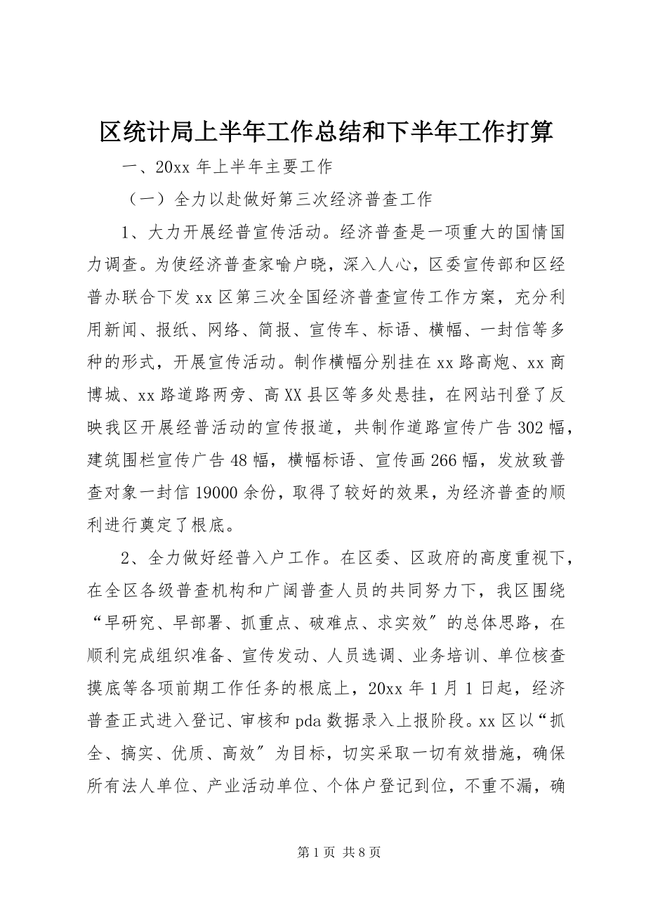 2023年区统计局上半年工作总结和下半年工作打算.docx_第1页