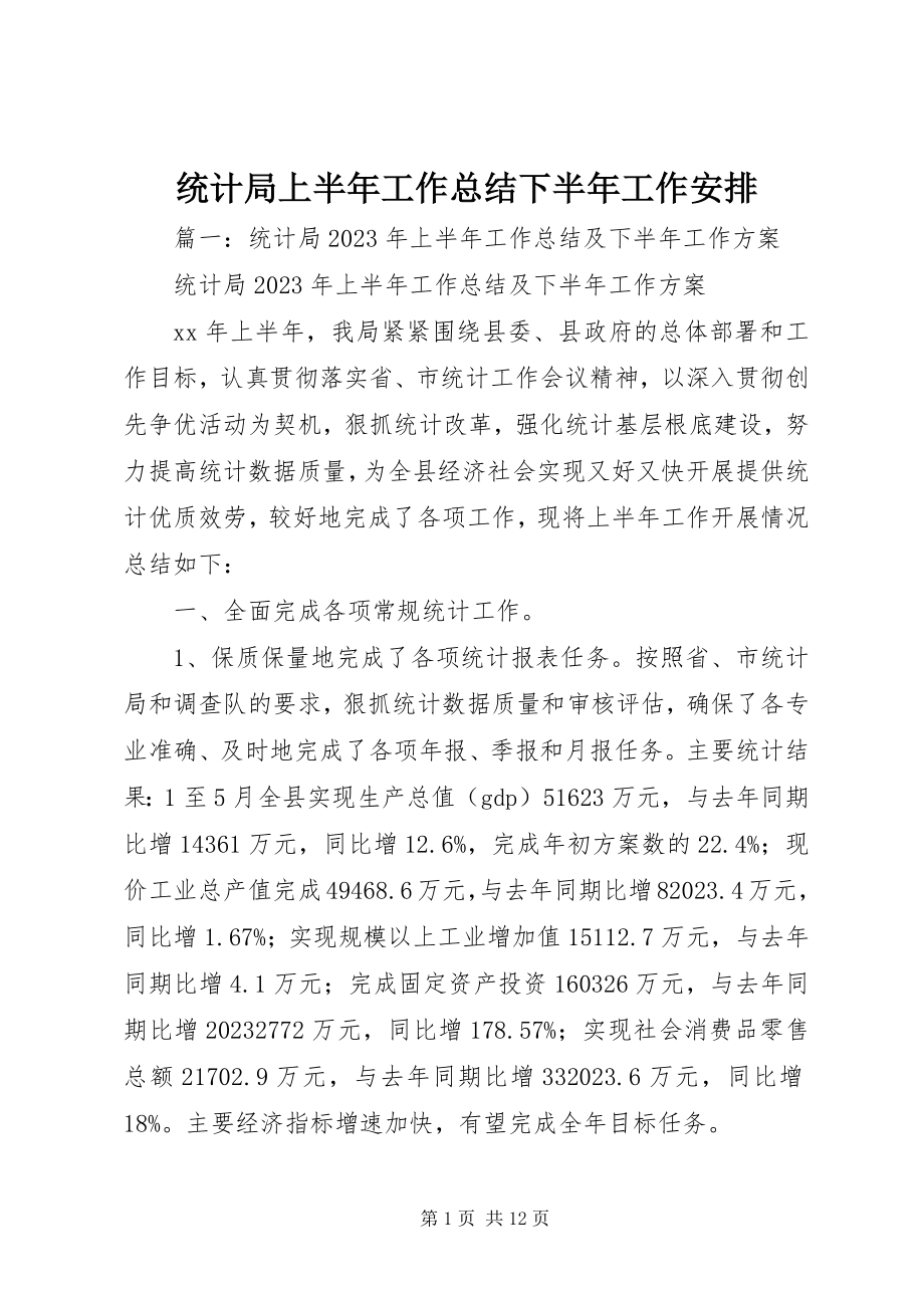 2023年统计局上半年工作总结下半年工作安排.docx_第1页