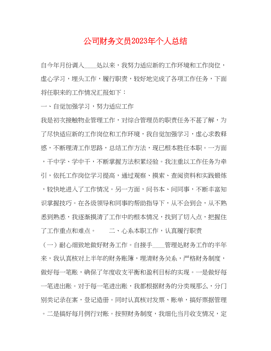 2023年公司财务文员个人总结.docx_第1页