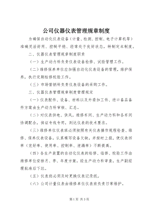 2023年公司仪器仪表管理规章制度.docx