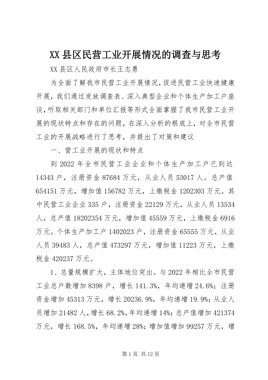 2023年XX县区民营工业发展情况的调查与思考新编.docx_第1页