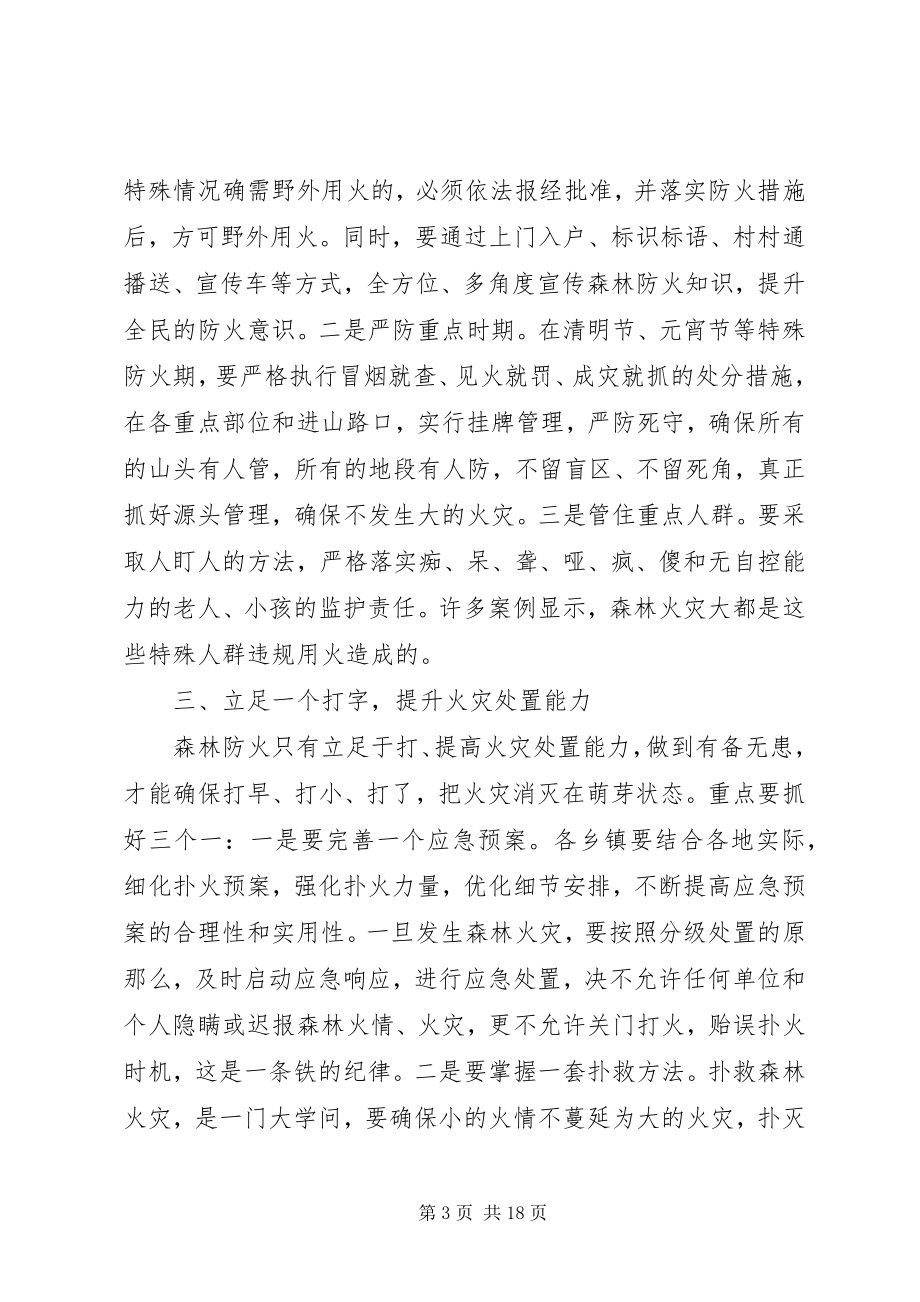 2023年全县森林防火工作会议致辞.docx_第3页