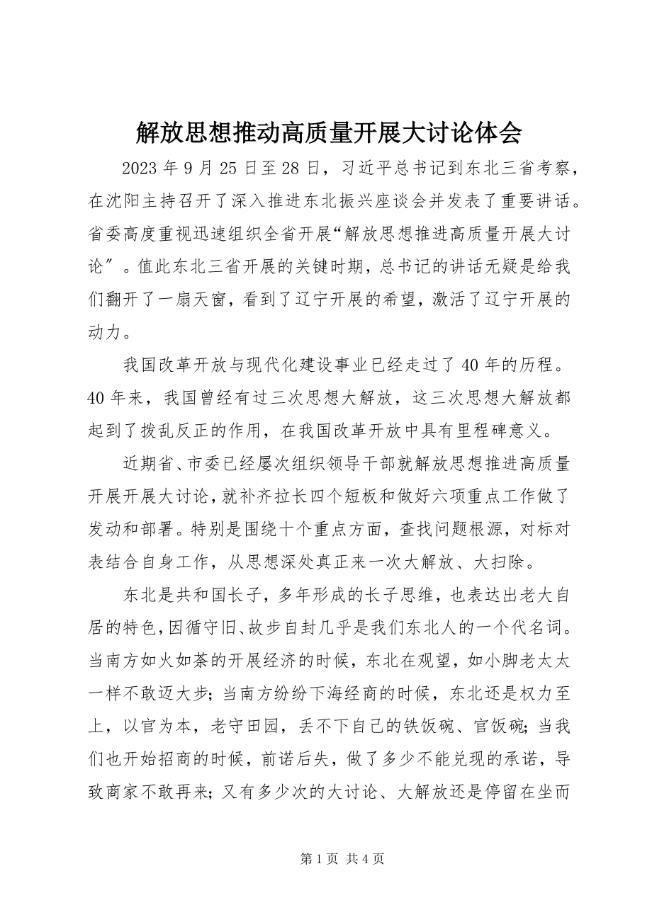 2023年解放思想推动高质量发展大讨论体会.docx_第1页