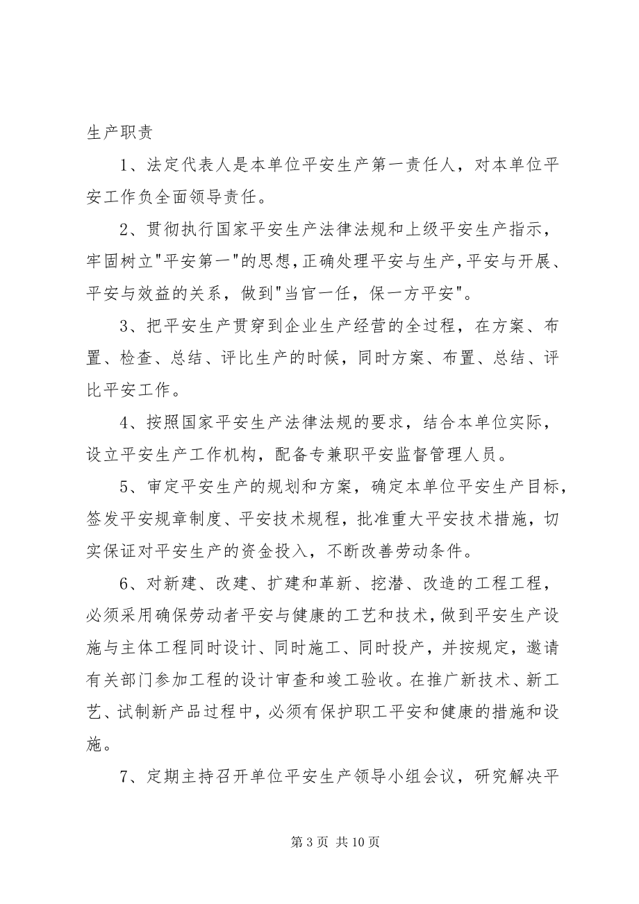 2023年企业法定代表人安全生产管理职责.docx_第3页