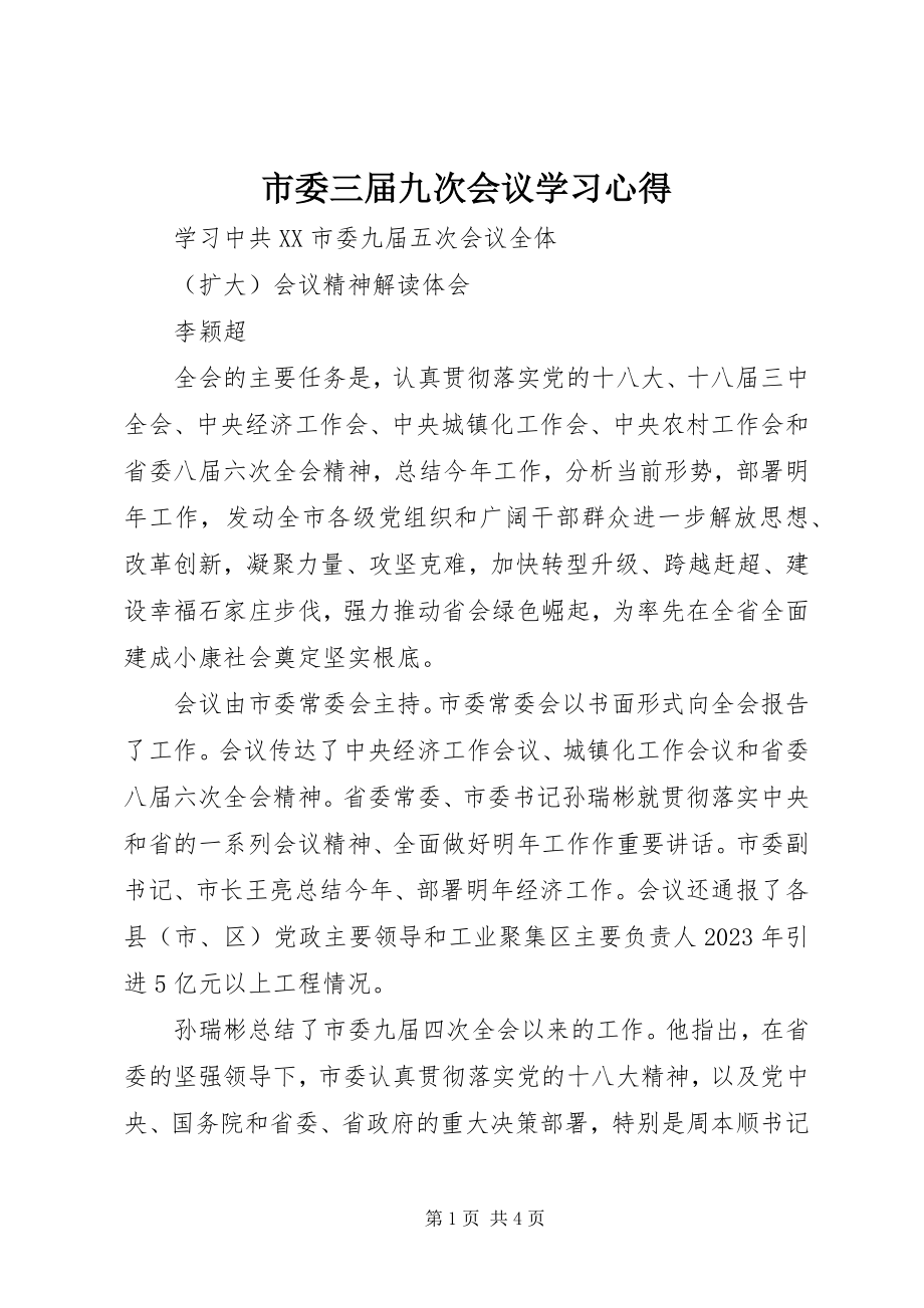 2023年市委三届九次会议学习心得.docx_第1页