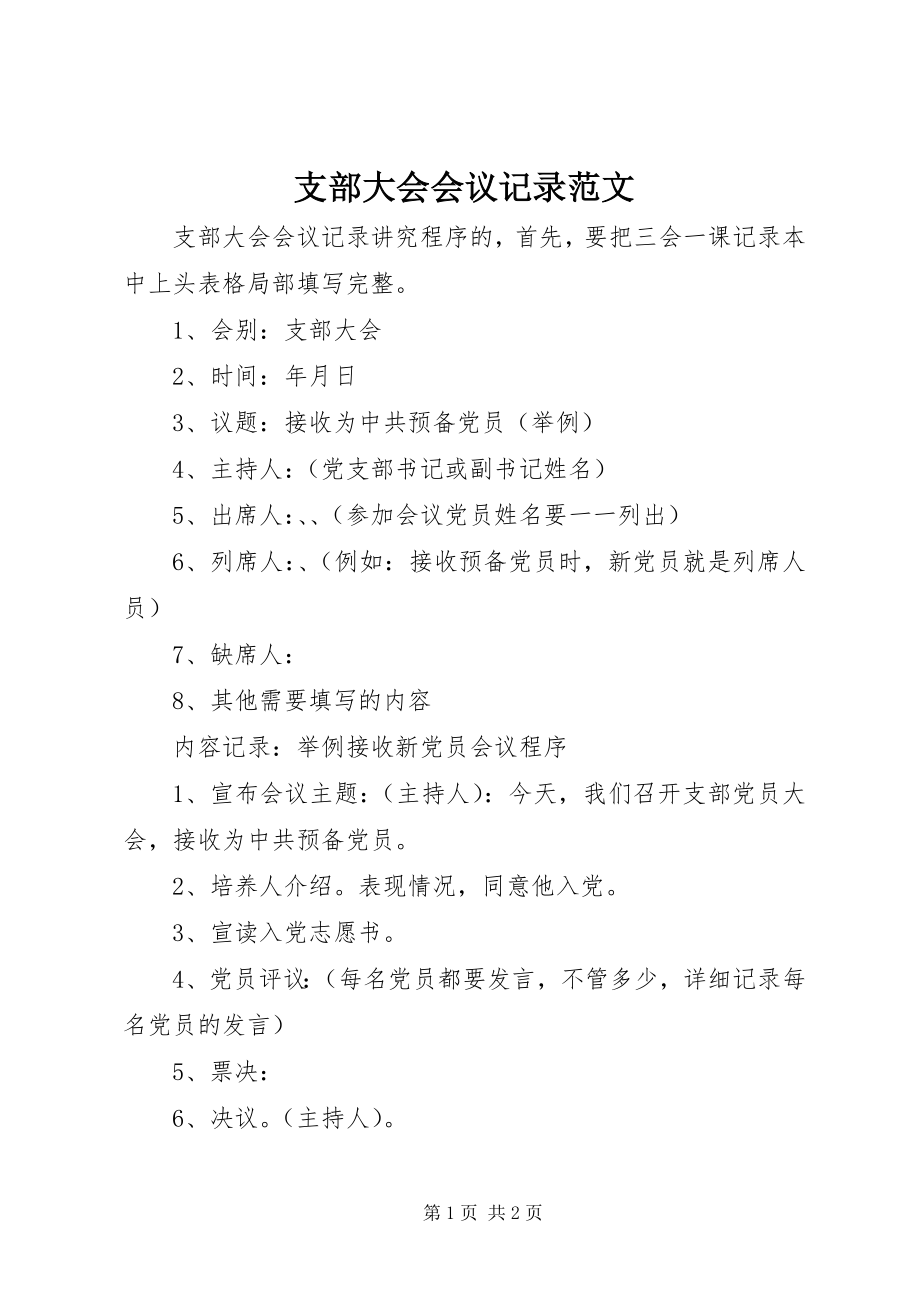 2023年支部大会会议记录.docx_第1页