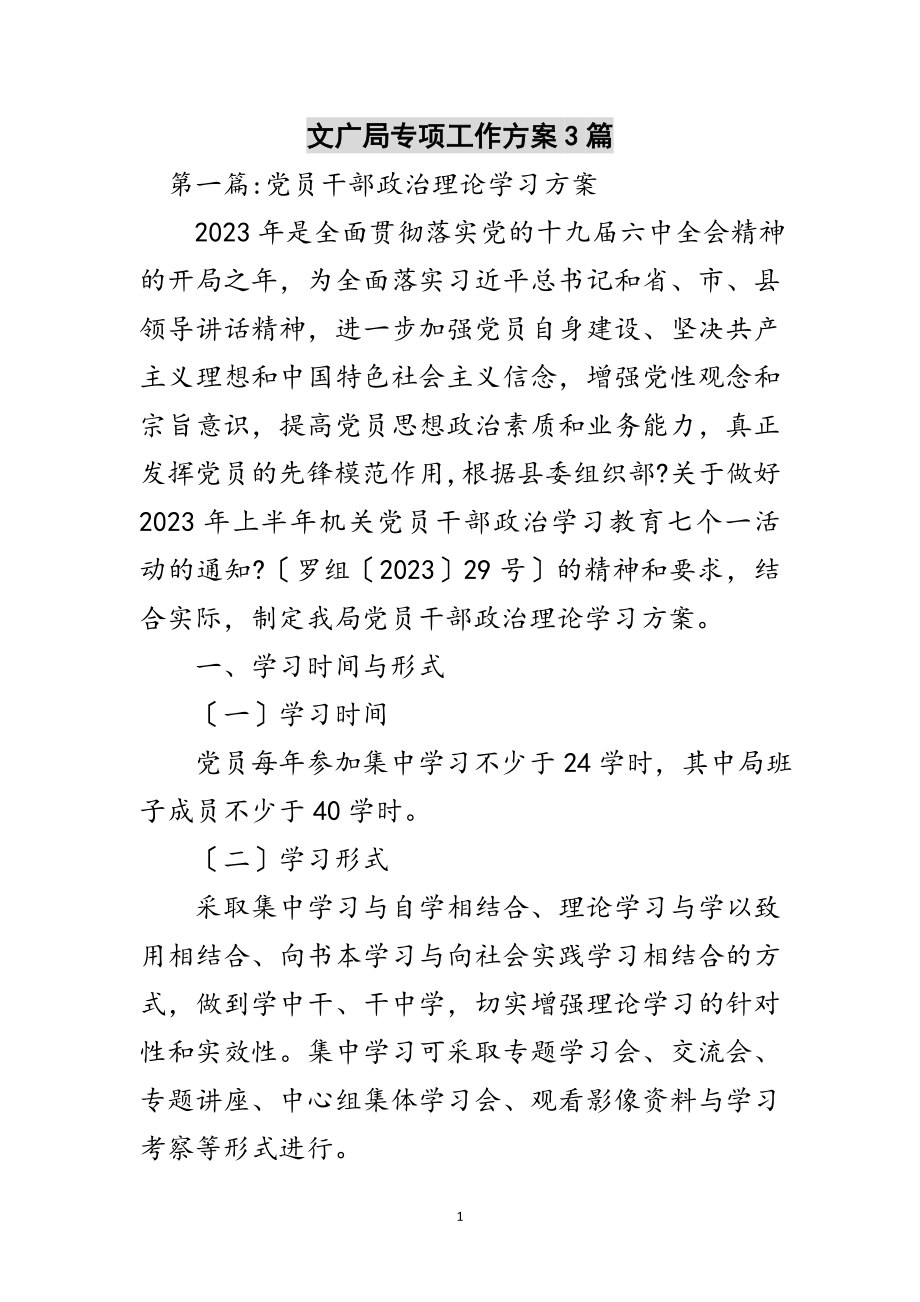 2023年文广局专项工作计划3篇范文.doc_第1页