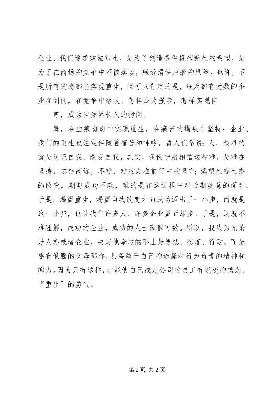 2023年罗小宁鹰的蜕变与重生观后感.docx_第2页