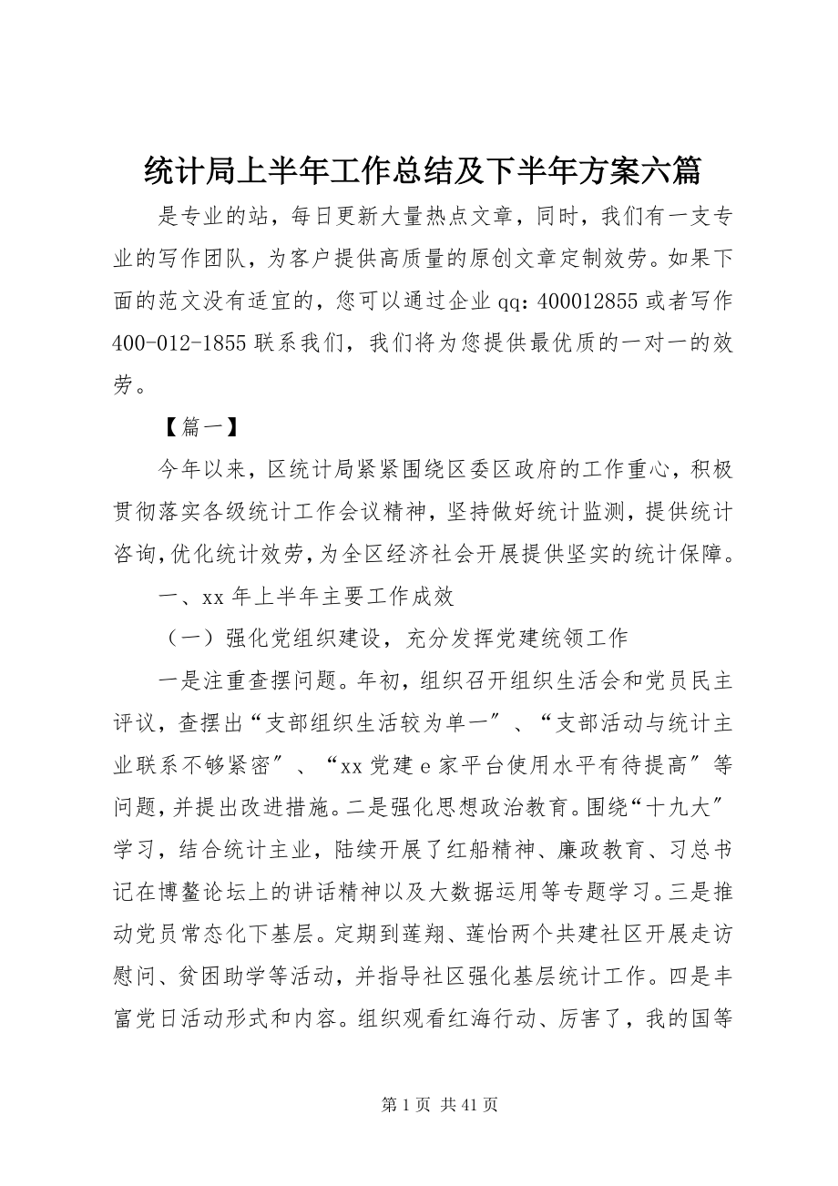 2023年统计局上半年工作总结及下半年计划六篇.docx_第1页