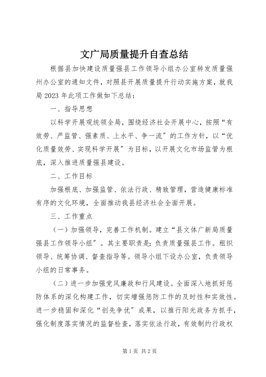 2023年文广局质量提升自查总结.docx_第1页