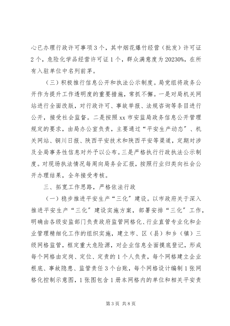 2023年安监局依法行政工作总结.docx_第3页