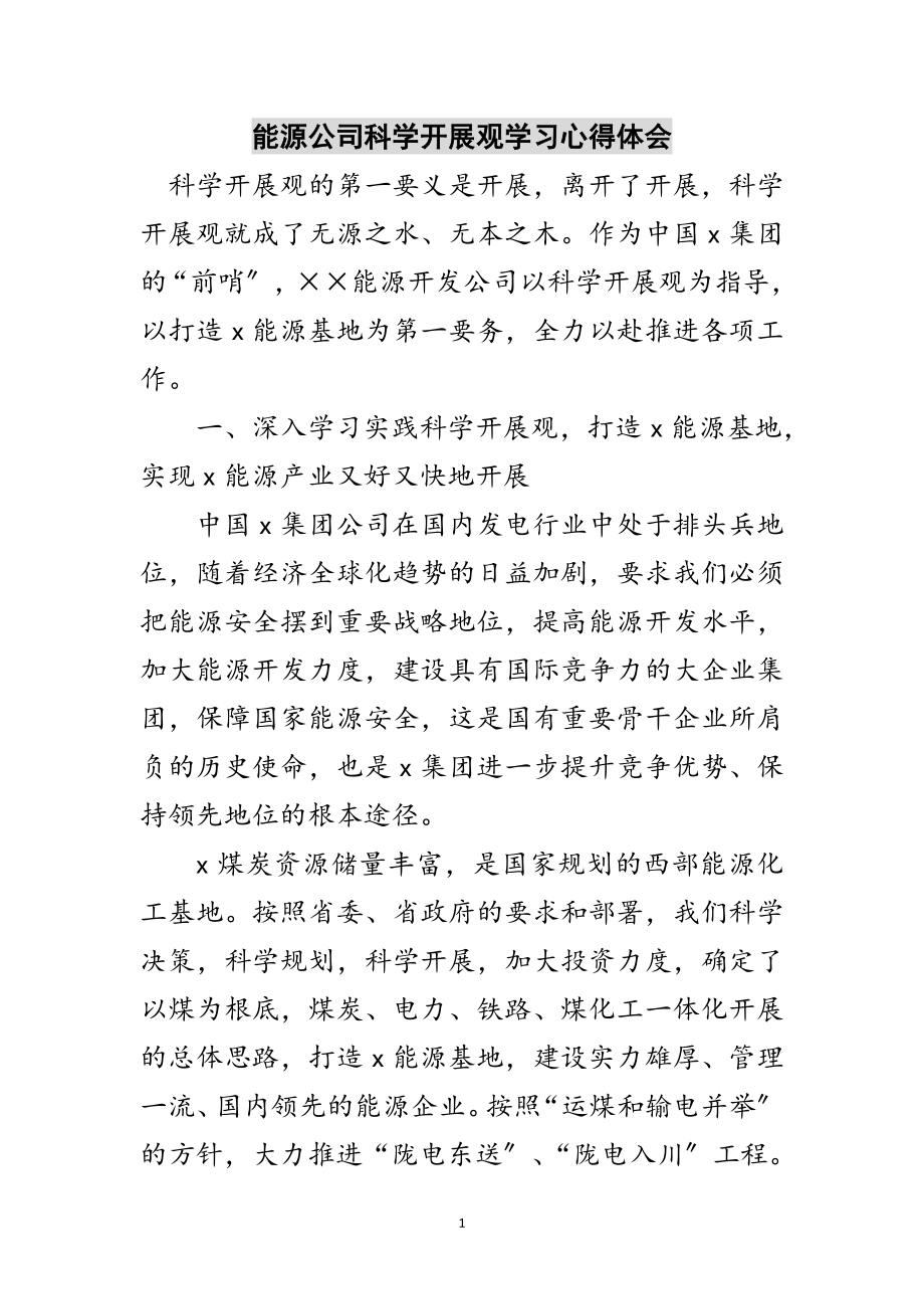 2023年能源公司科学发展观学习心得体会范文.doc_第1页