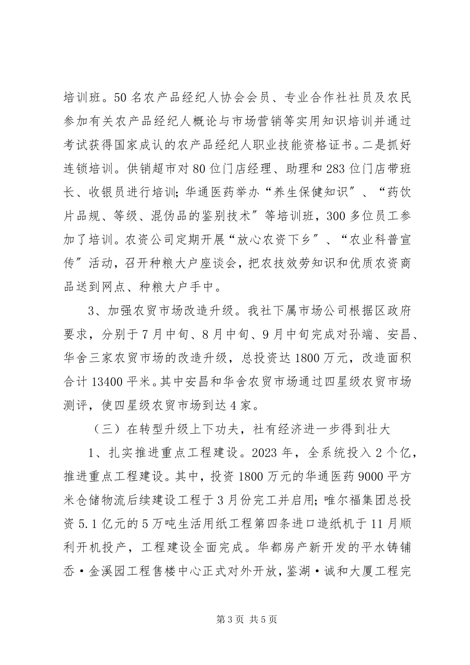 2023年供销社年度工作总结2.docx_第3页