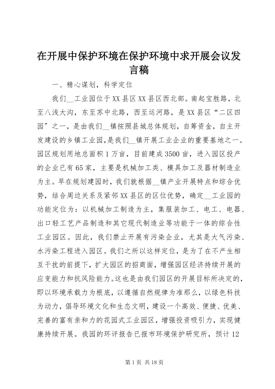 2023年在发展中保护环境在保护环境中求发展会议讲话稿.docx_第1页