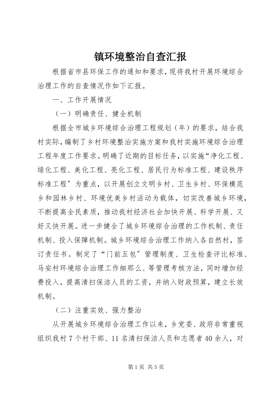 2023年镇环境整治自查汇报.docx_第1页