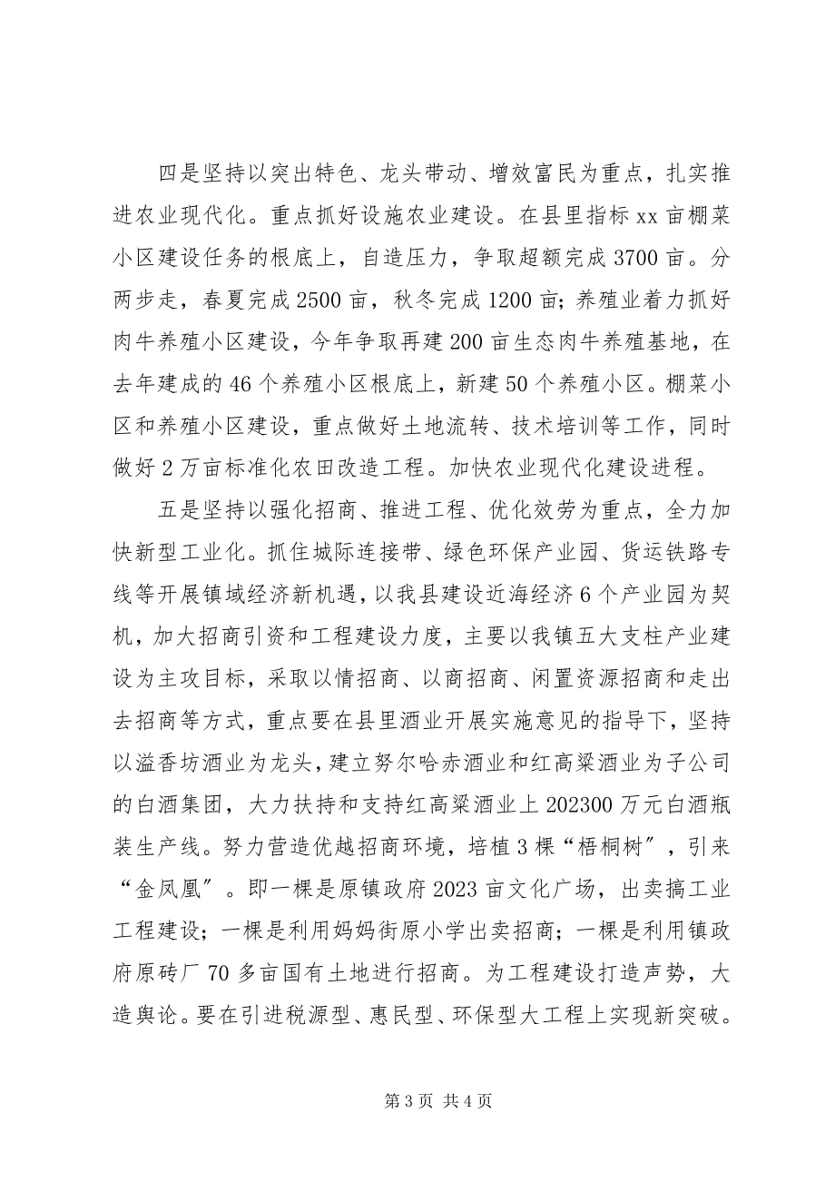 2023年乡镇政府的工作计划2.docx_第3页