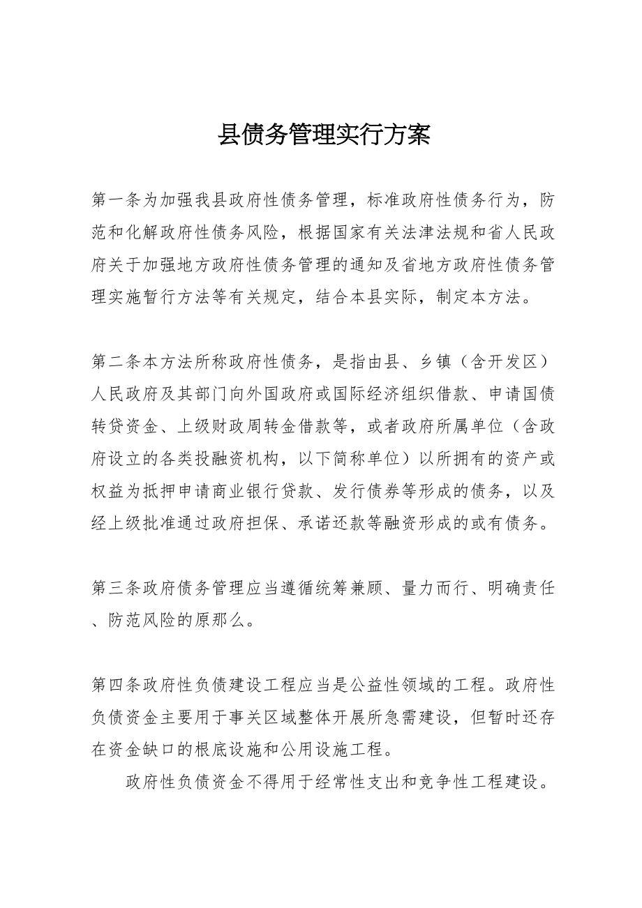 2023年县债务管理实行方案.doc_第1页