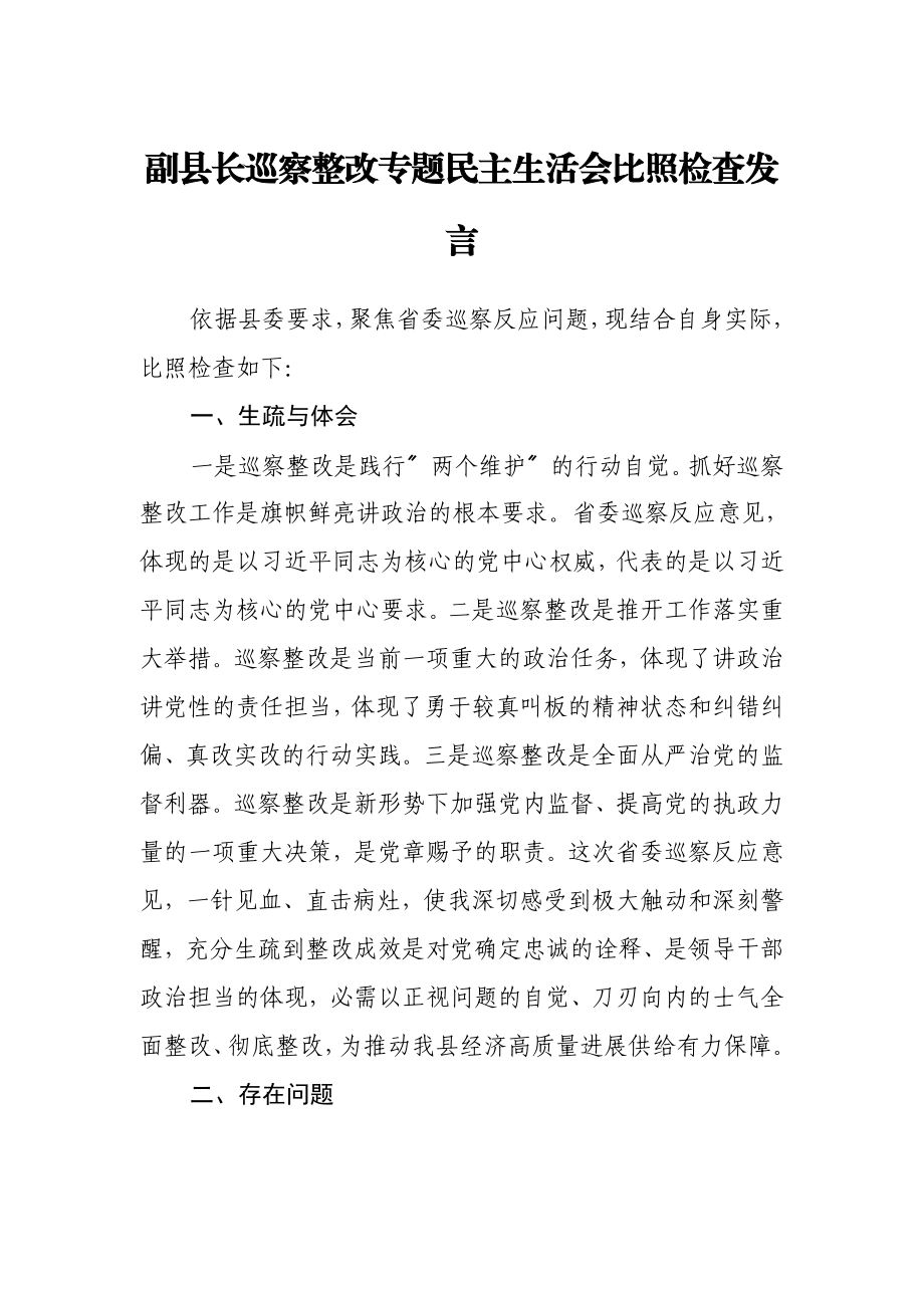 2023年副县长巡视整改专题民主生活会对照检查发言.doc_第1页