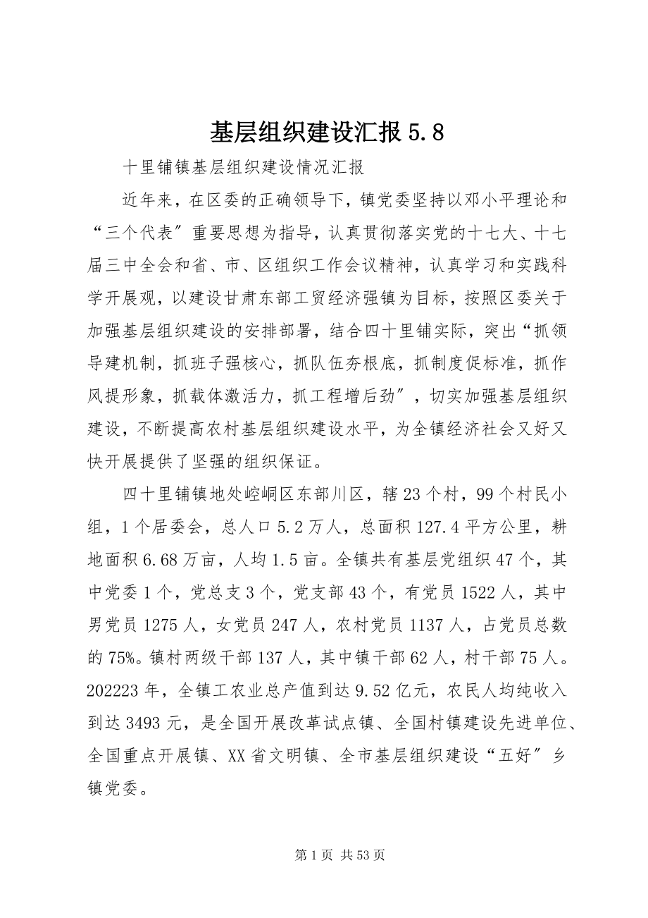 2023年基层组织建设汇报58.docx_第1页