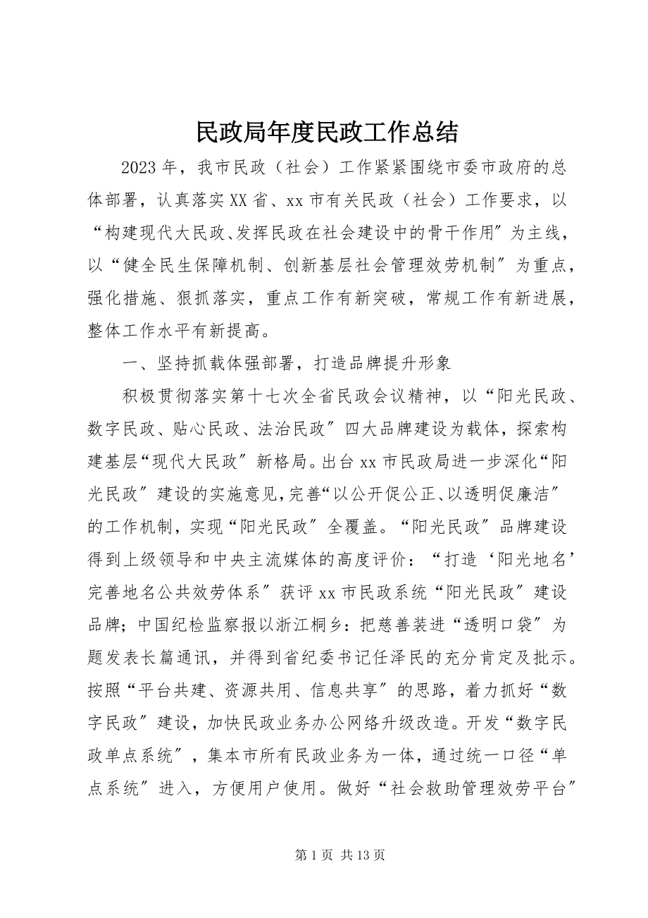 2023年民政局度民政工作总结.docx_第1页