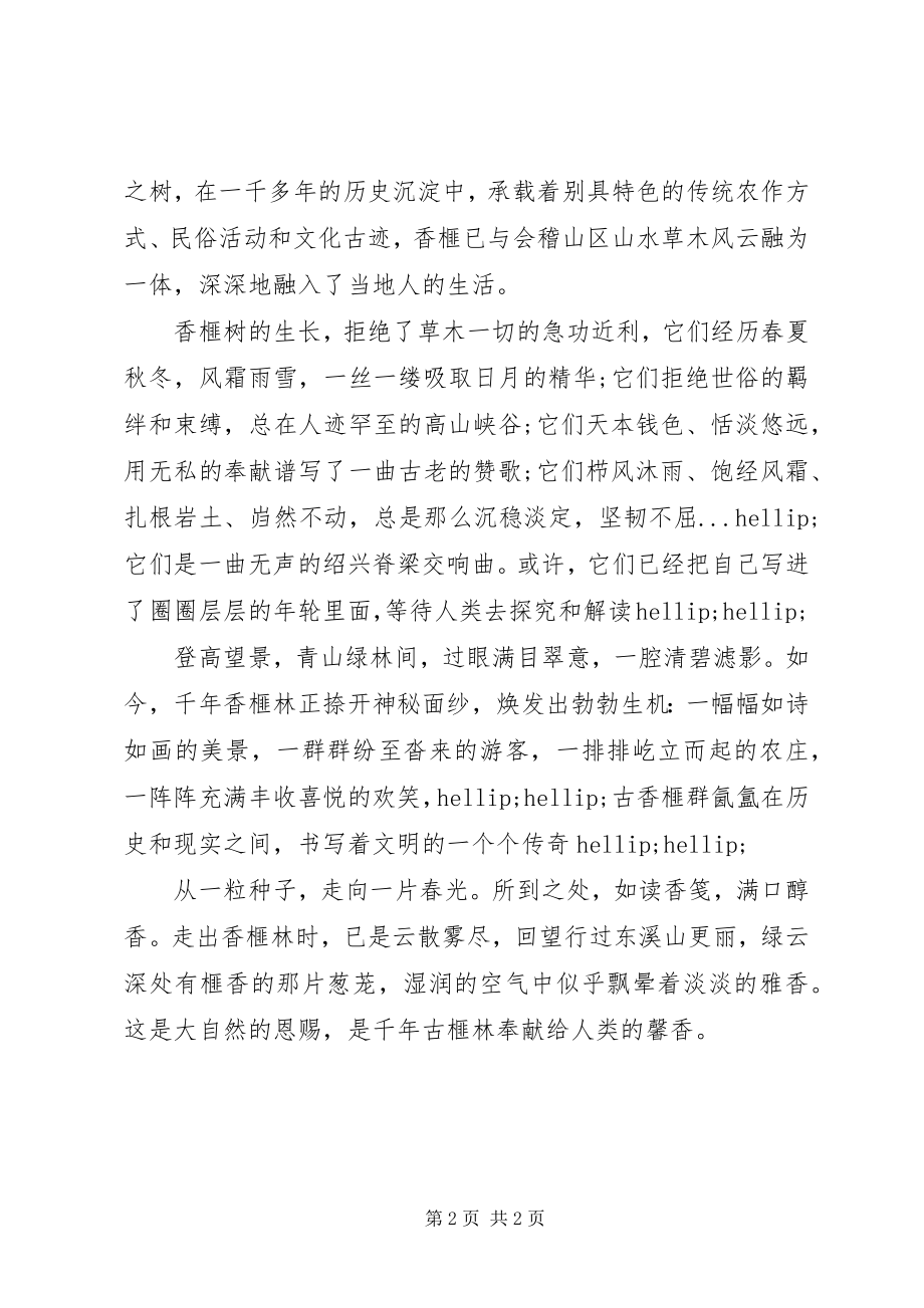 2023年廉政文化主题征文榧林深处.docx_第2页