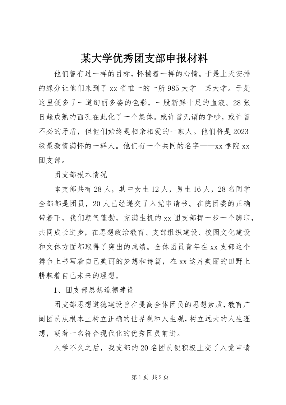 2023年某大学优秀团支部申报材料.docx_第1页