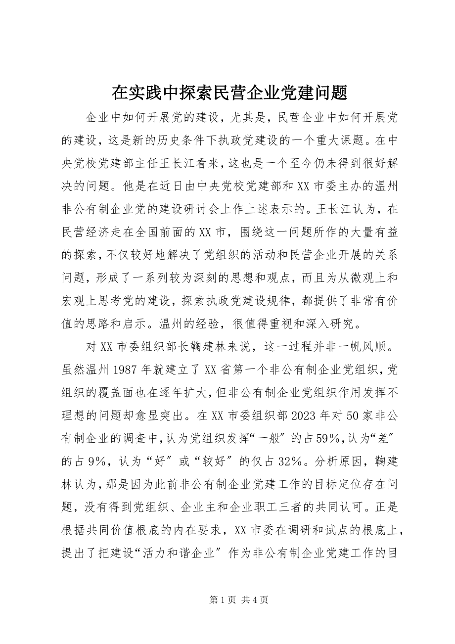 2023年在实践中探索民营企业党建问题.docx_第1页