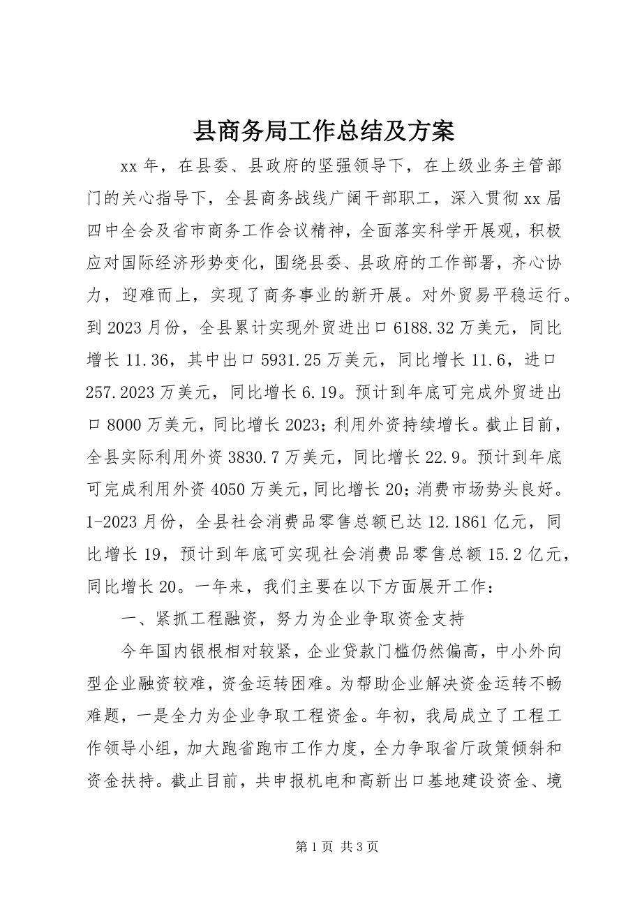 2023年县商务局工作总结及计划.docx_第1页