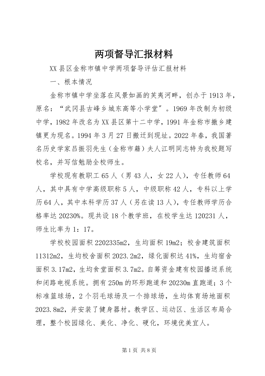 2023年两项督导汇报材料.docx_第1页