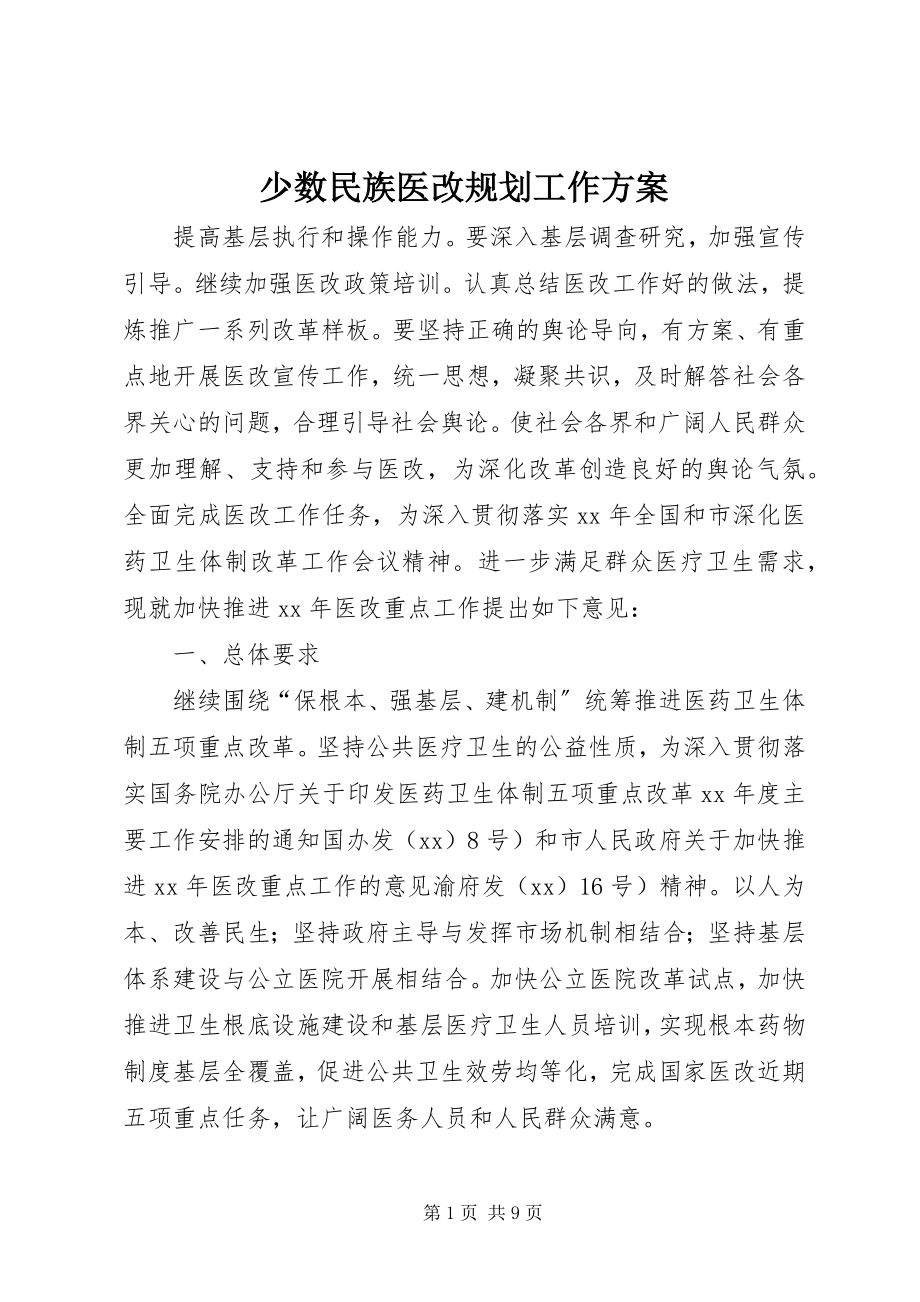 2023年少数民族医改规划工作计划.docx_第1页