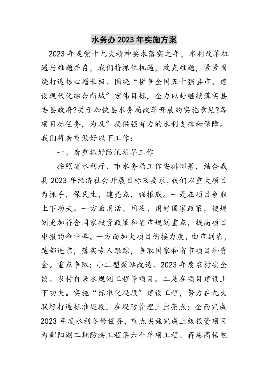 2023年水务办年实施计划范文.doc_第1页