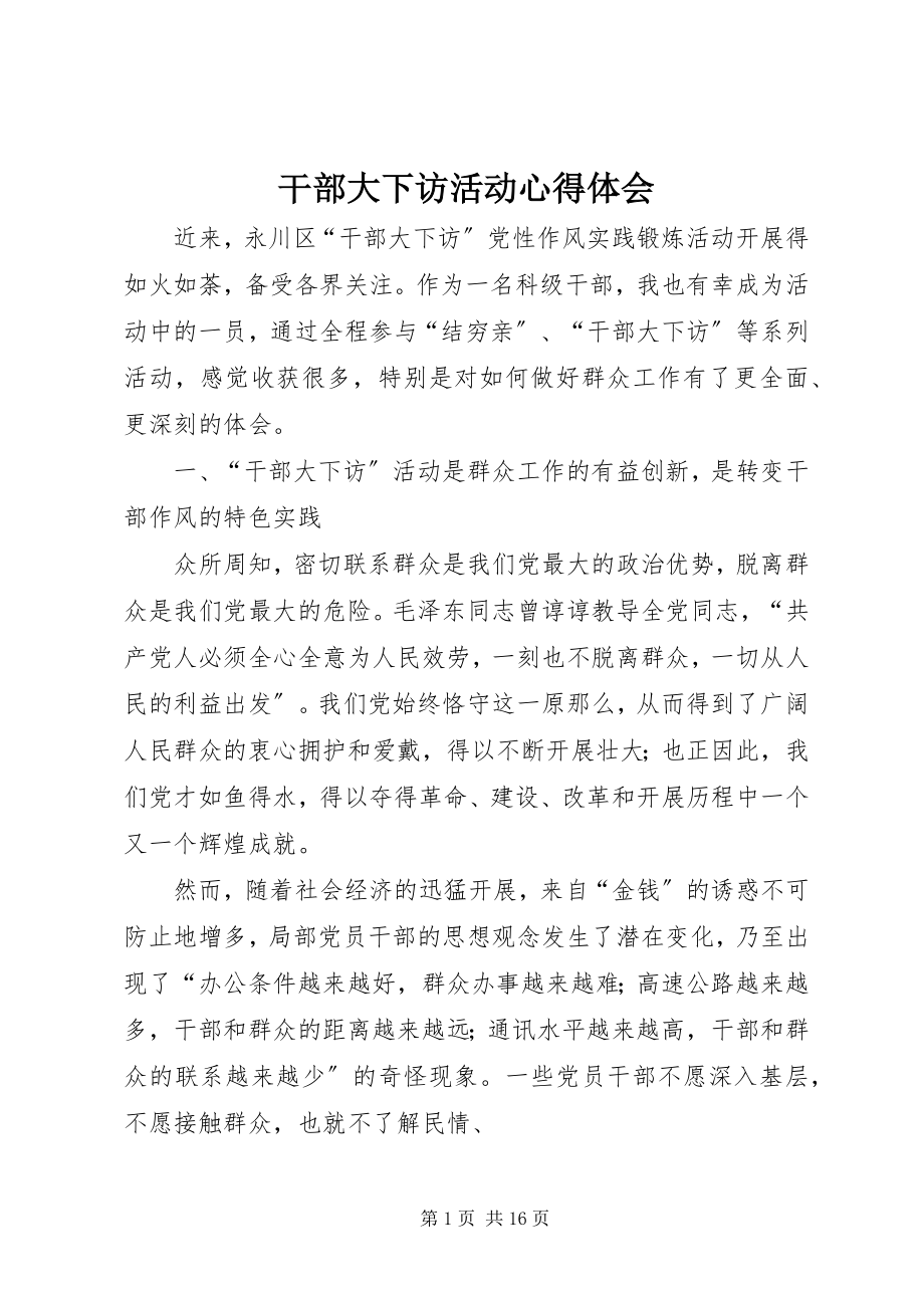 2023年干部大下访活动心得体会.docx_第1页