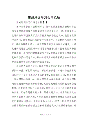 2023年聚成培训学习心得总结.docx