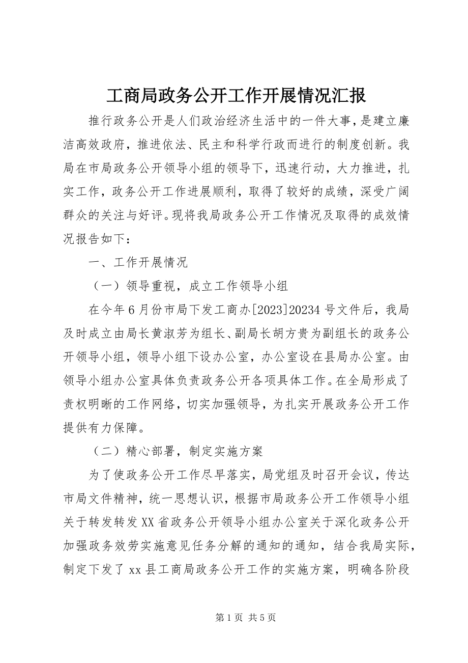 2023年工商局政务公开工作开展情况汇报.docx_第1页