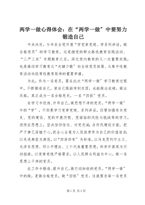 2023年两学一做心得体会在“两学一做”中要努力锻造自己.docx