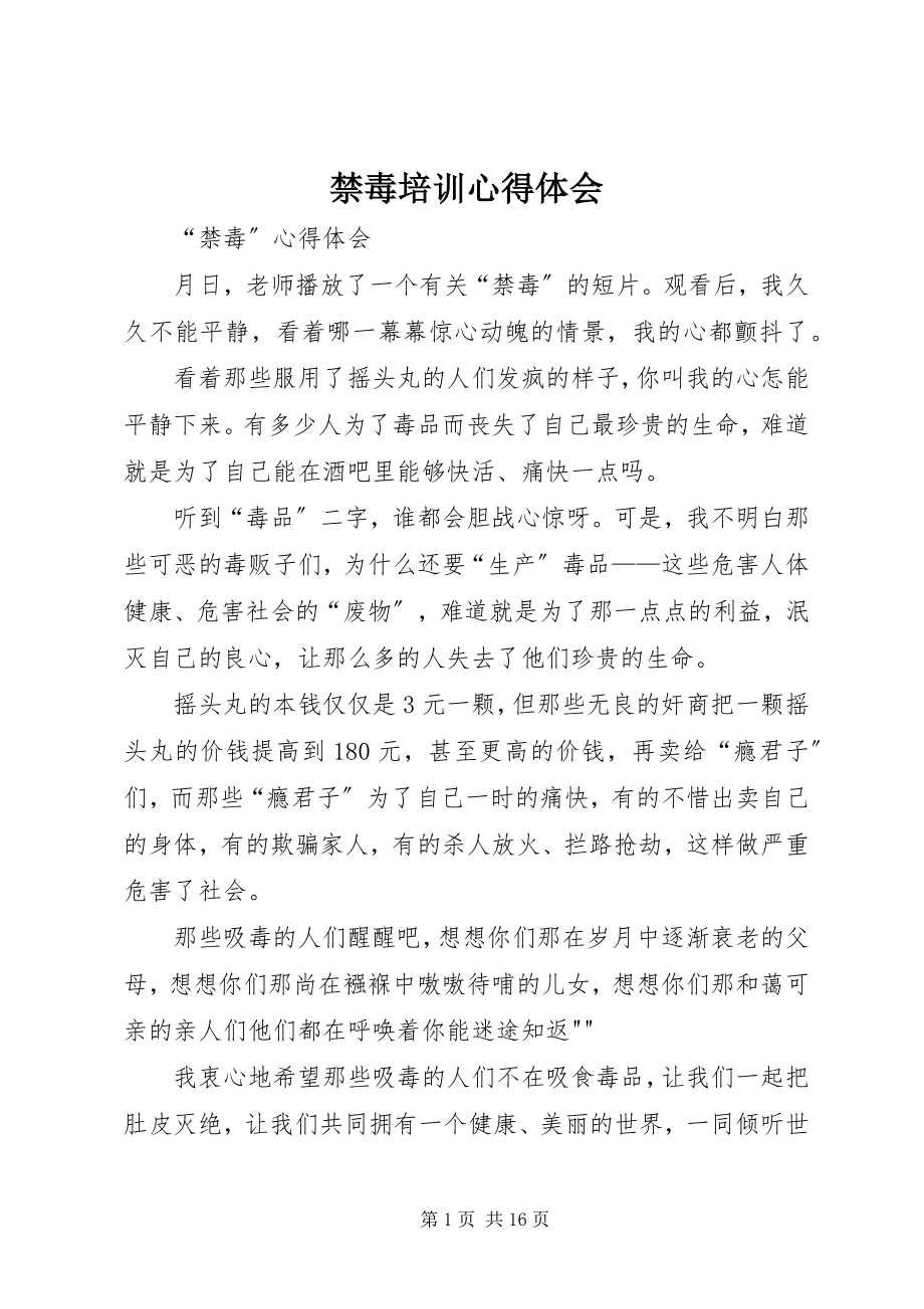 2023年禁毒培训心得体会.docx_第1页