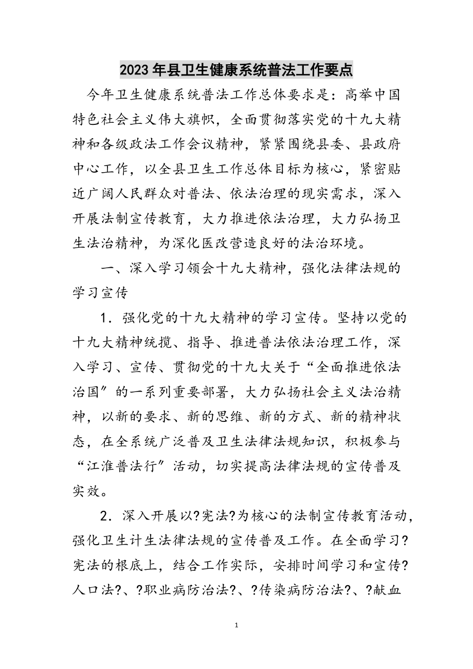 2023年年县卫生健康系统普法工作要点范文.doc_第1页