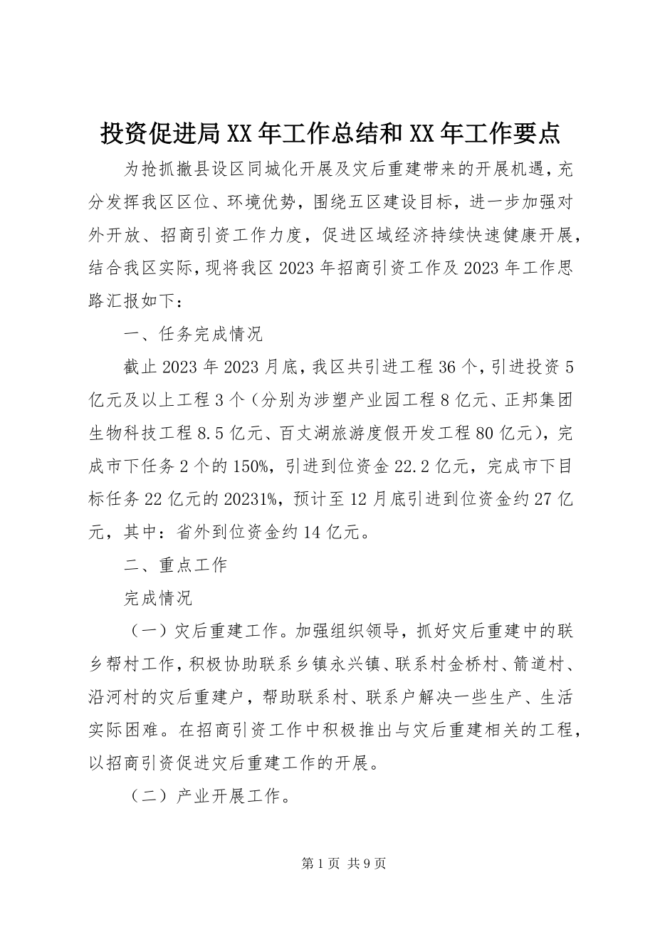 2023年投资促进局工作总结和工作要点.docx_第1页