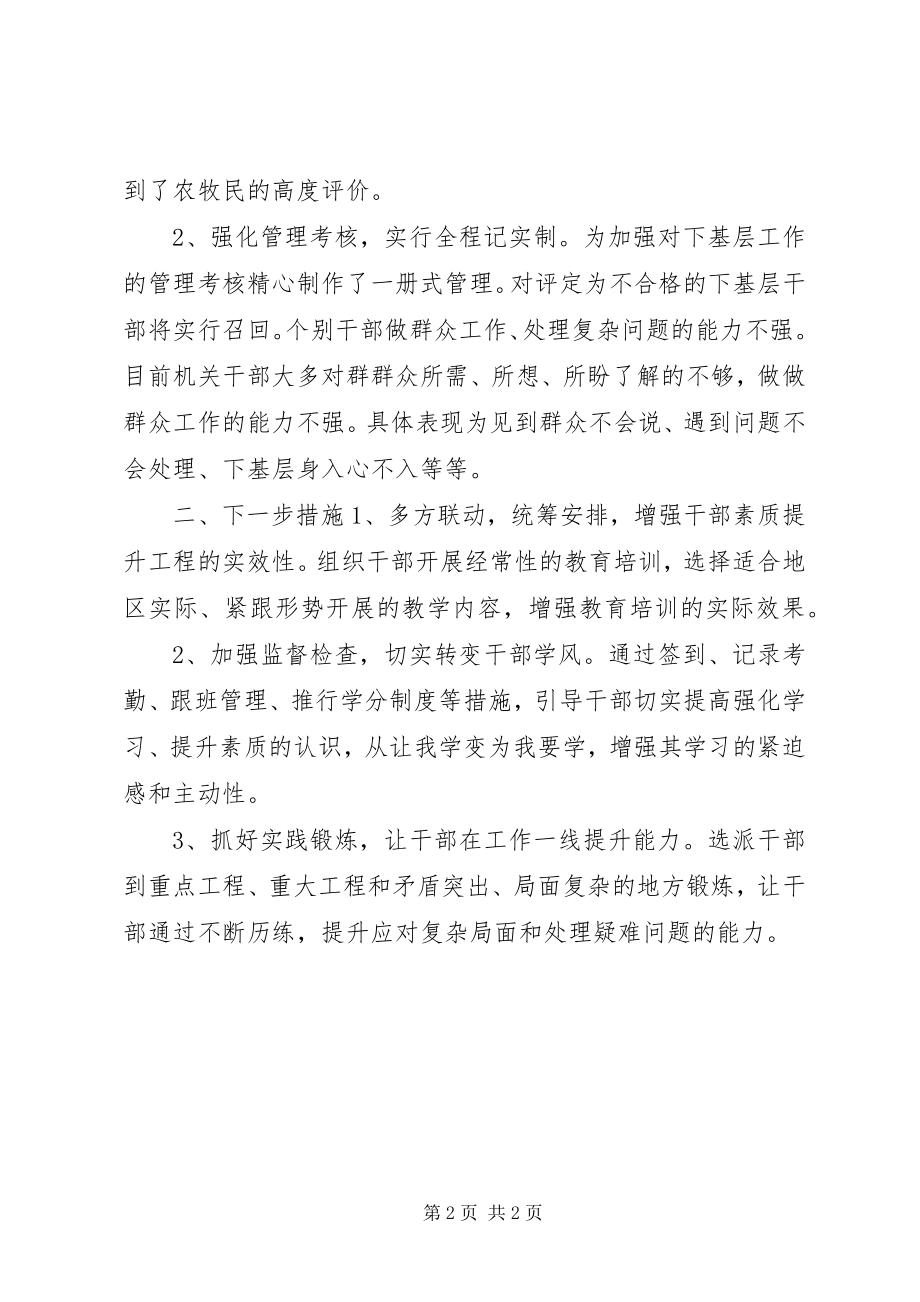 2023年干部能力素质提升工程总结.docx_第2页