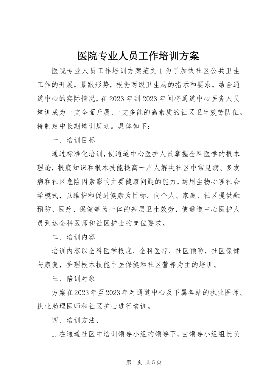 2023年医院专业人员工作培训计划.docx_第1页