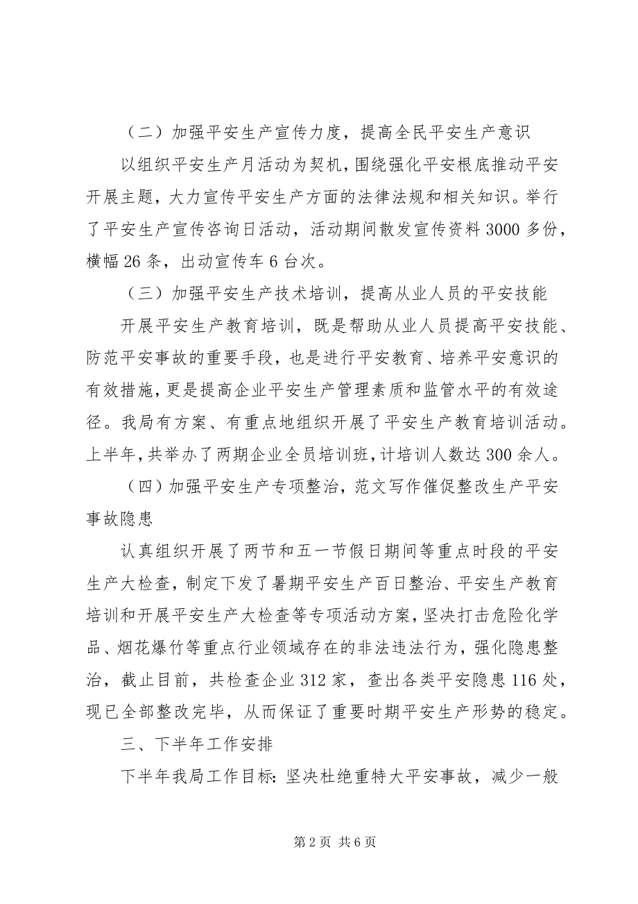 2023年安全生产咨询日总结新编.docx_第2页