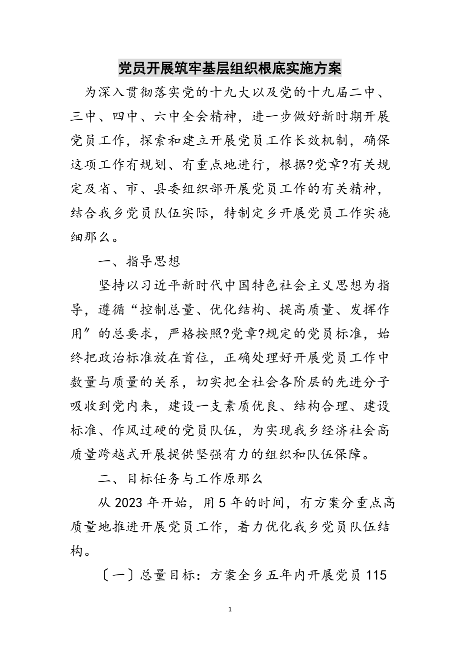 2023年党员发展筑牢基层组织基础实施方案范文.doc_第1页