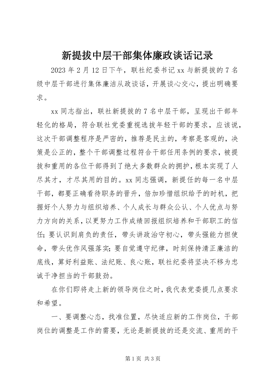 2023年新提拔中层干部集体廉政谈话记录.docx_第1页