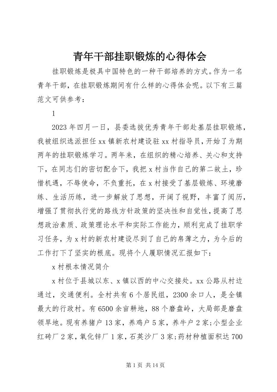 2023年青年干部挂职锻炼的心得体会.docx_第1页